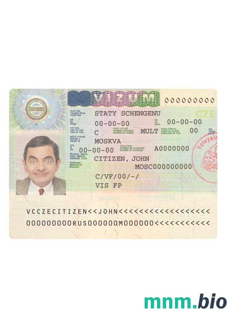 Wiza schengen w pełni edytowalna PSD